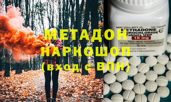 прущие грибы Алексеевка